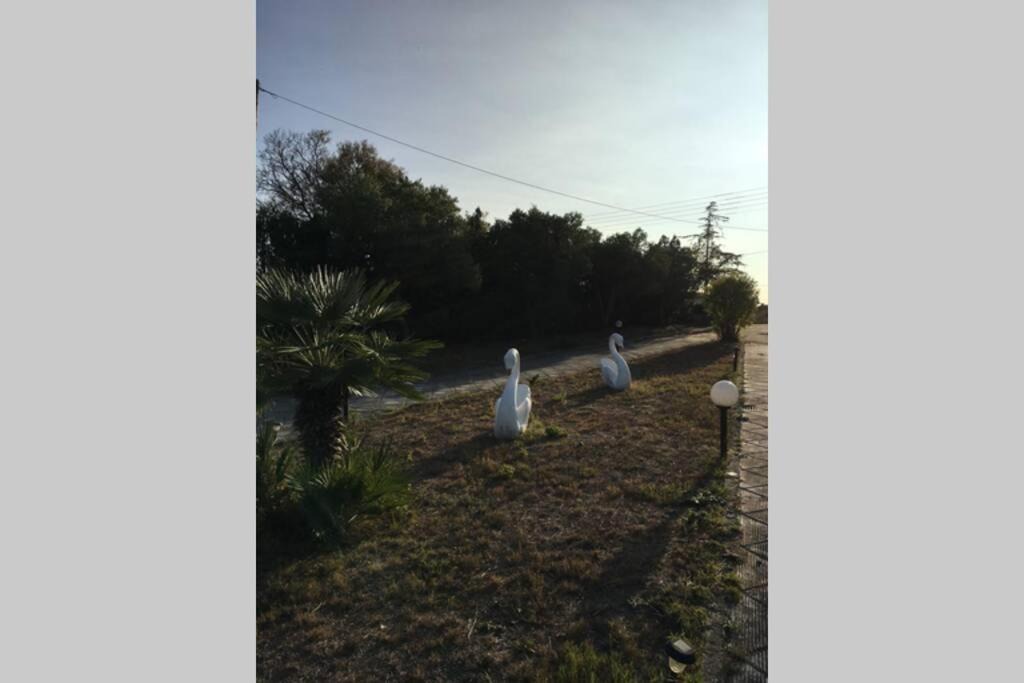Photo of Others in Kassandra