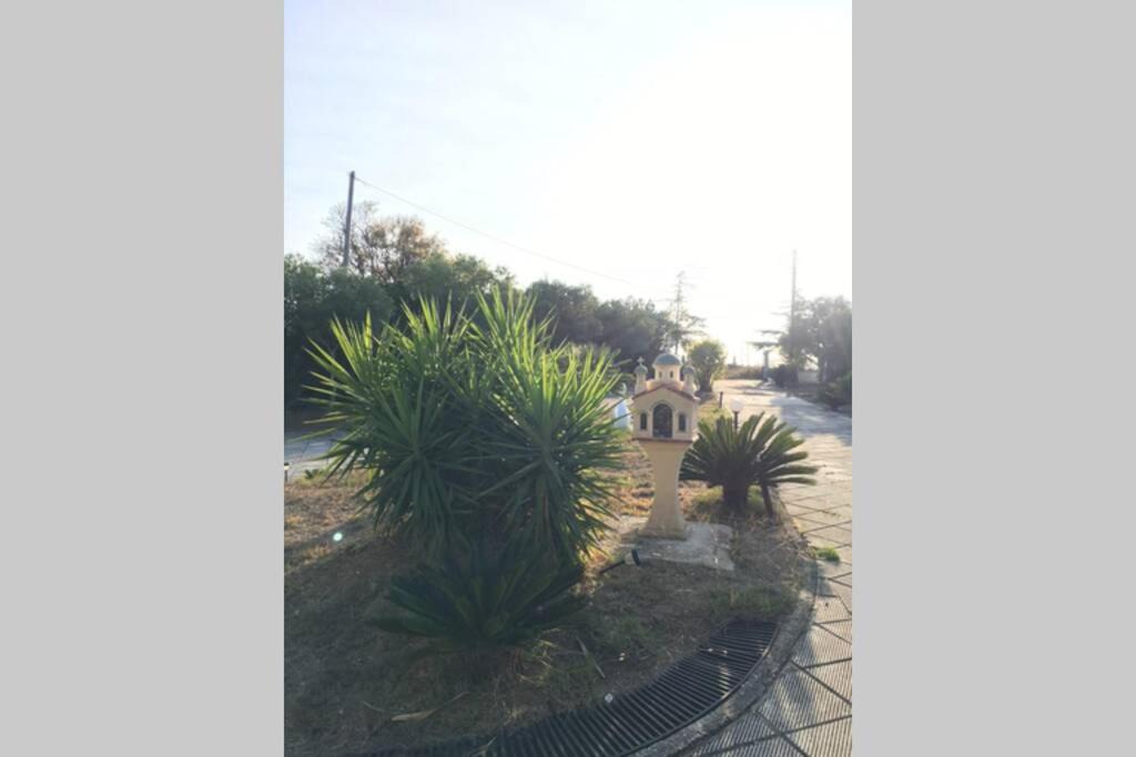 Photo of Others in Kassandra