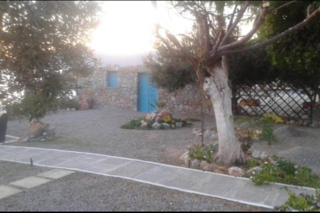 Photo of Others in Pefkos