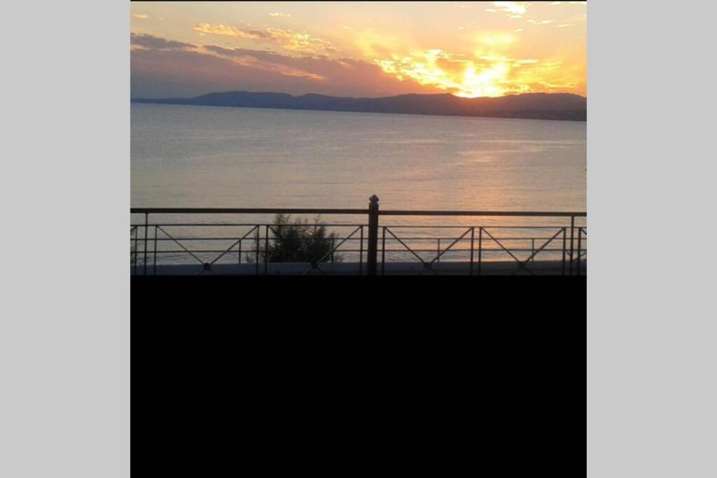 Photo of Others in Pefkos