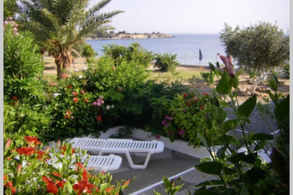 Photo of Others in Pefkos