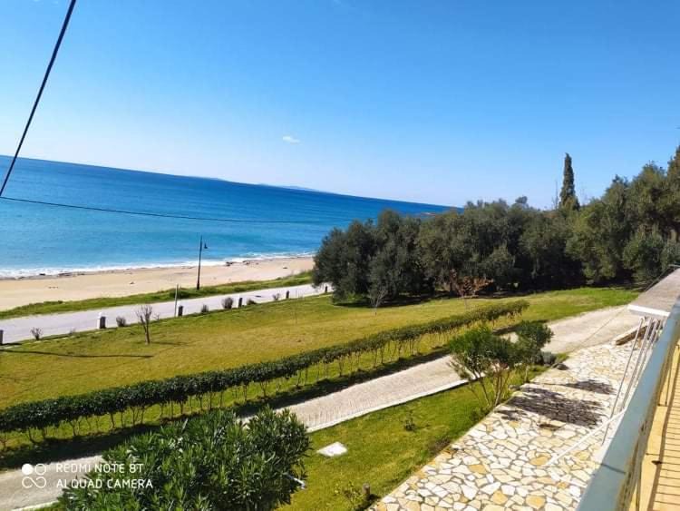 Photo of Others in Lygia