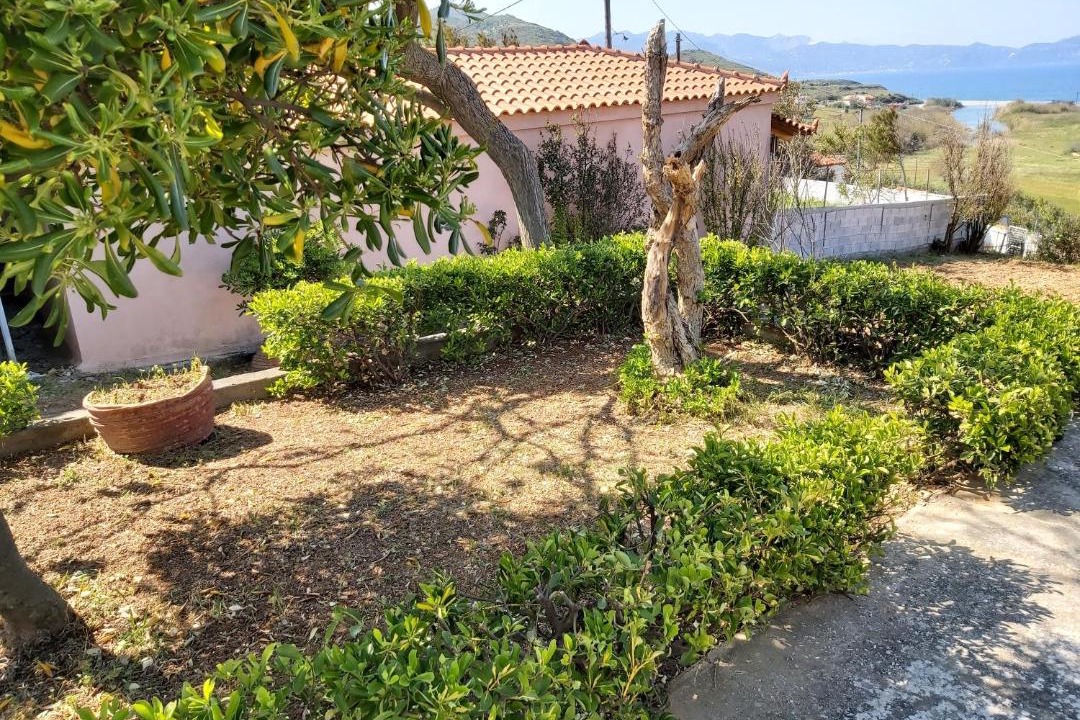 Photo of Others in Mourteri