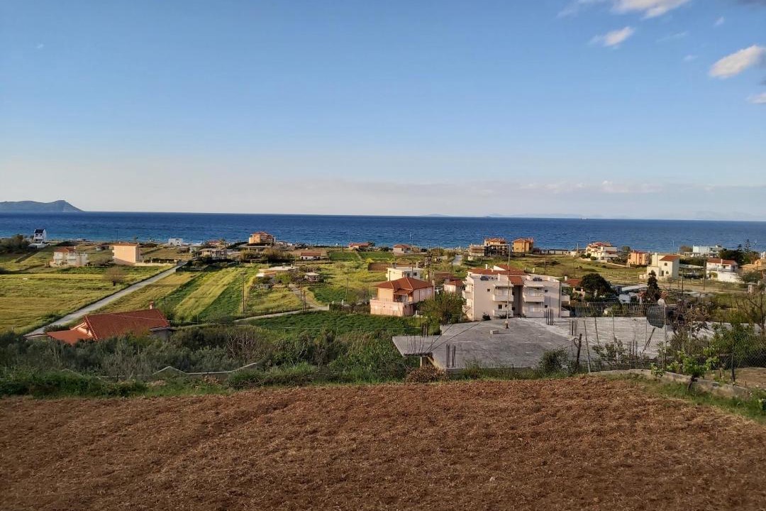 Photo of Others in Mourteri