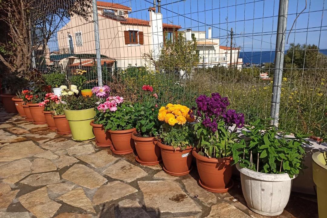 Photo of Patio Balcony in Spata-Artemida