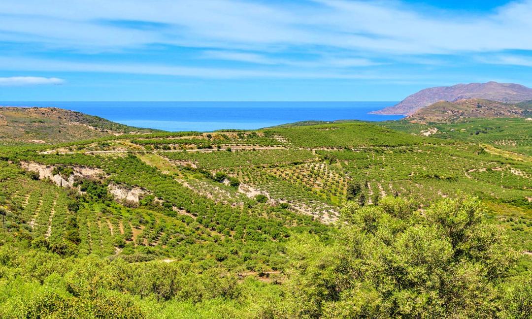 Photo of Outdoor in Pervolakia