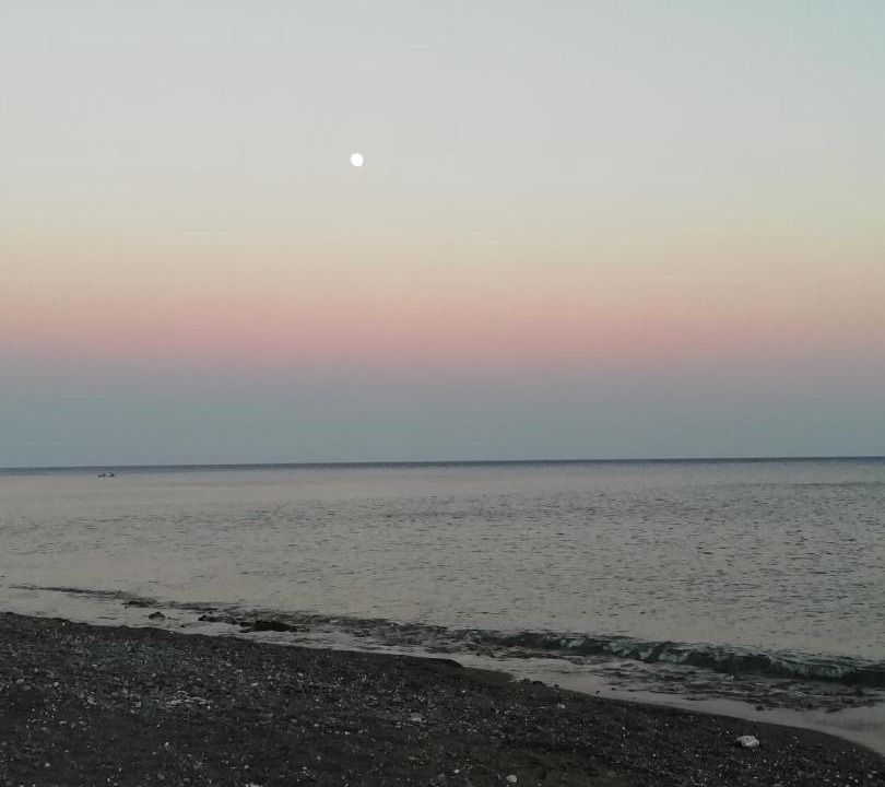 Photo of Others in Minoa Pediada