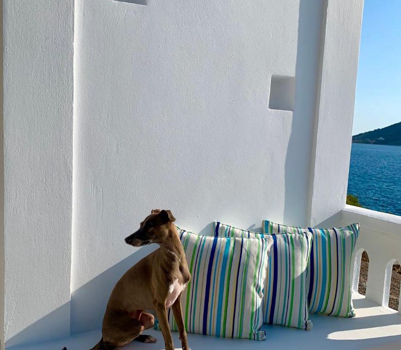 Photo of Others in Kalymnos