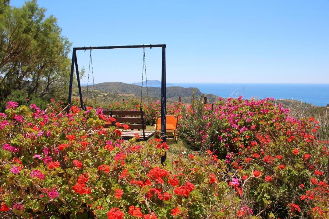 Photo of Outdoor in Triopetra