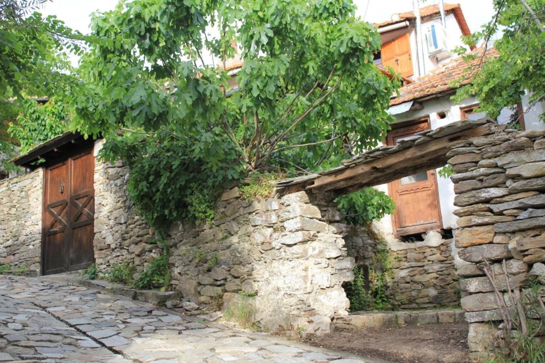 Photo of Buildings in Kazaviti