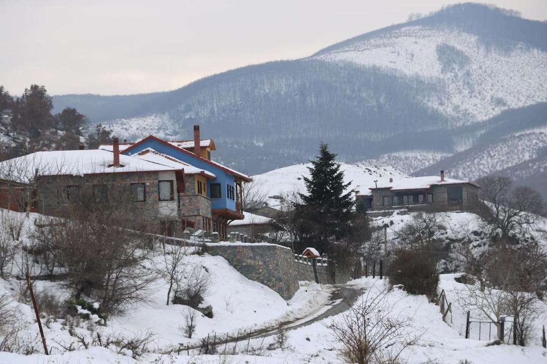 Photo of Others in Edessa