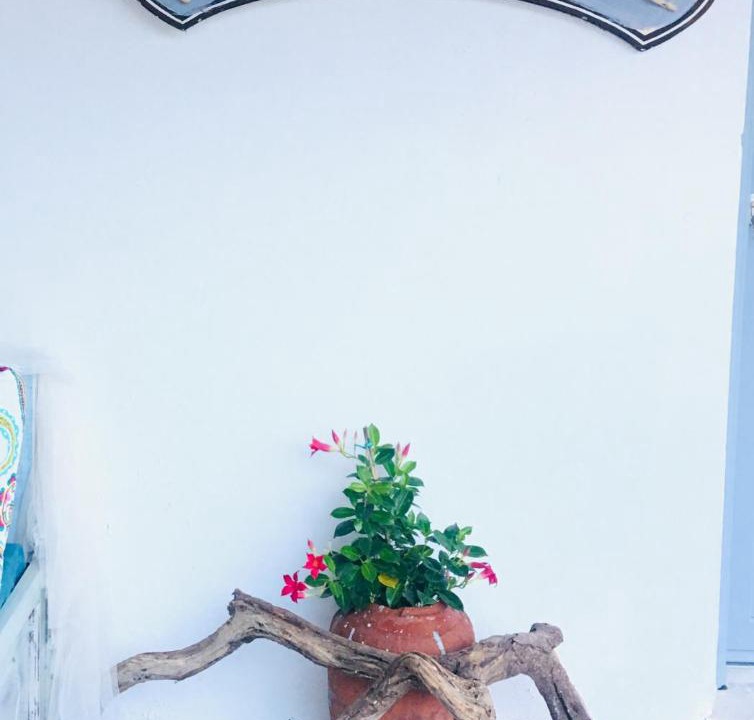 Photo of Others in Skiathos