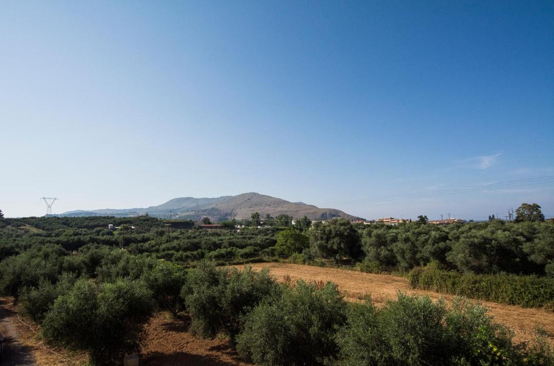 Photo of Outdoor in Mathes