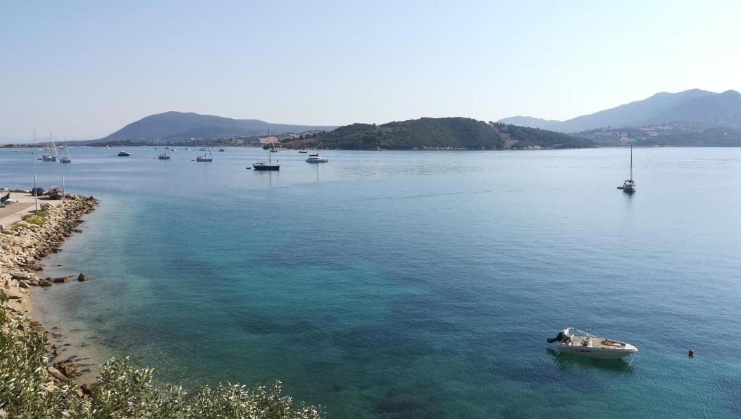 Photo of Others in Lygia