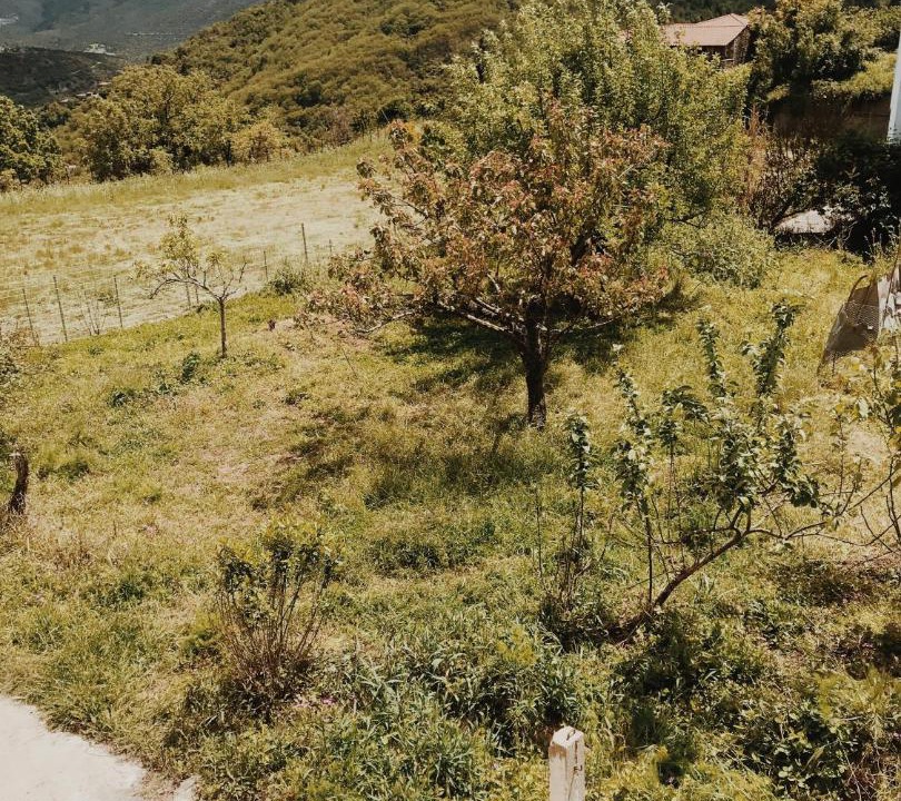 Photo of Outdoor in Kastri
