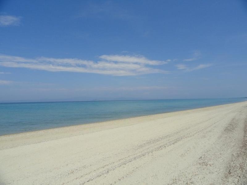 Photo of Others in Kassandra