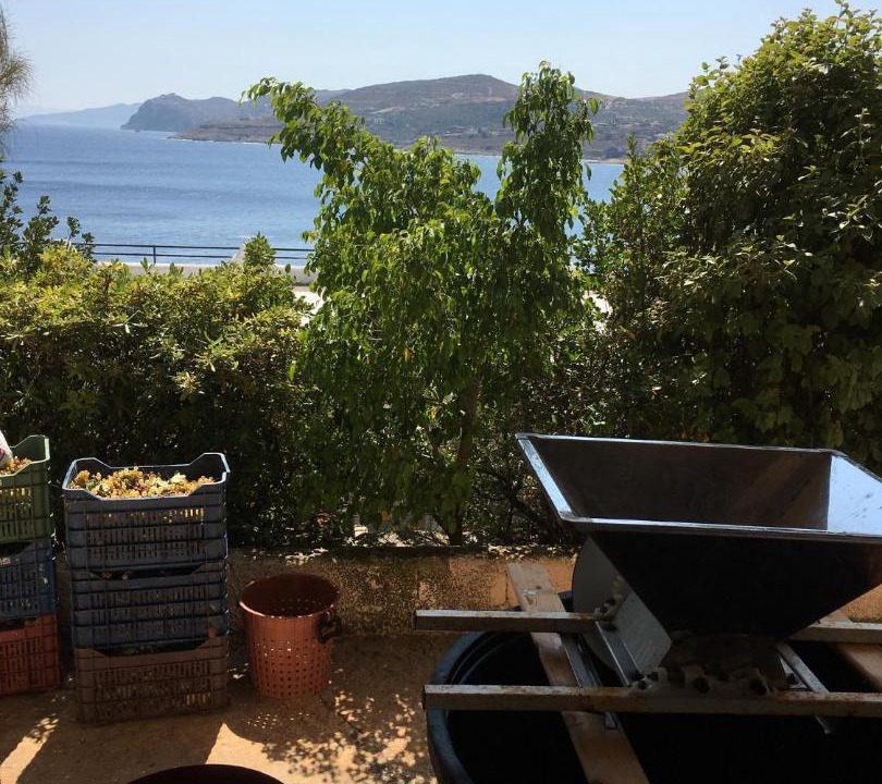 Photo of Patio Balcony in Daskalio