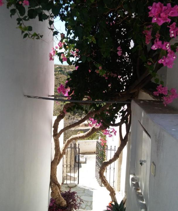 Photo of Others in Kithira