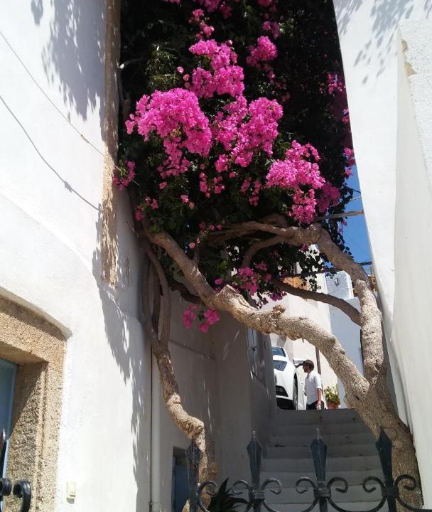 Photo of Others in Kithira
