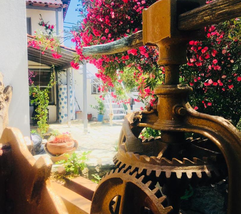 Photo of Others in Skiathos