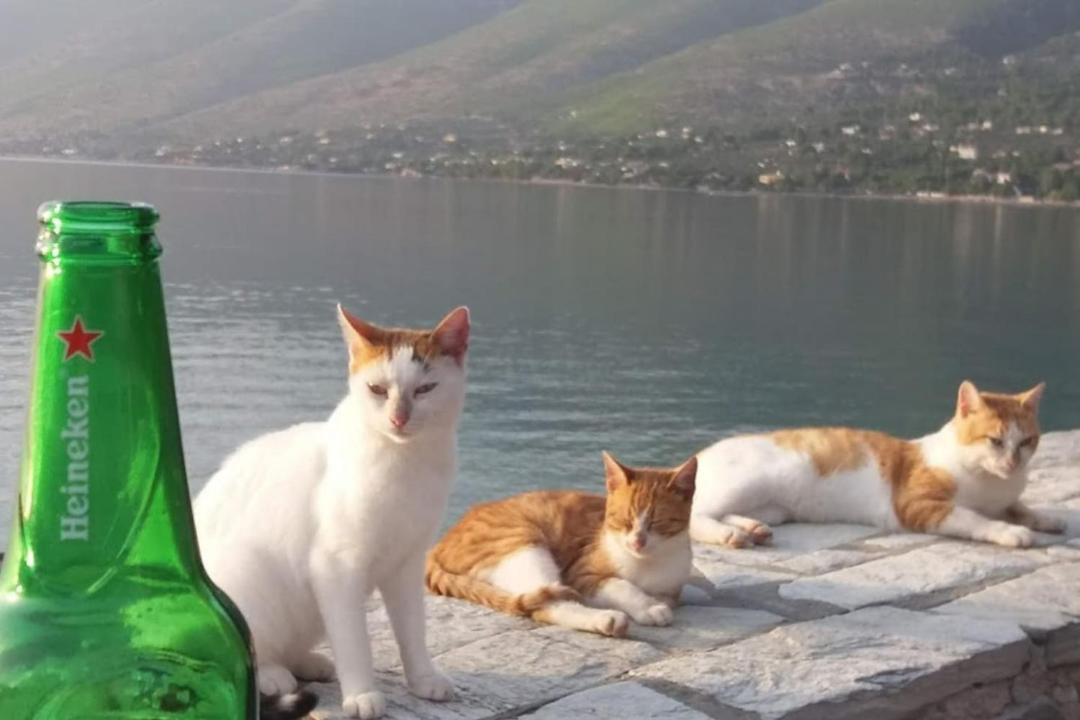 Photo of Others in Porto Germeno
