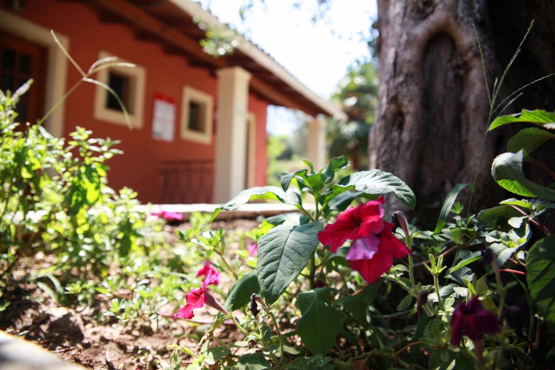 Photo of Buildings in Kato Korakiana
