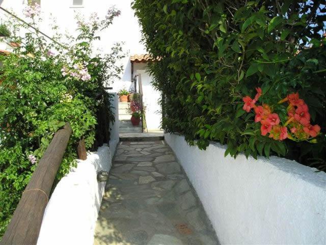 Photo of Others in Kolios