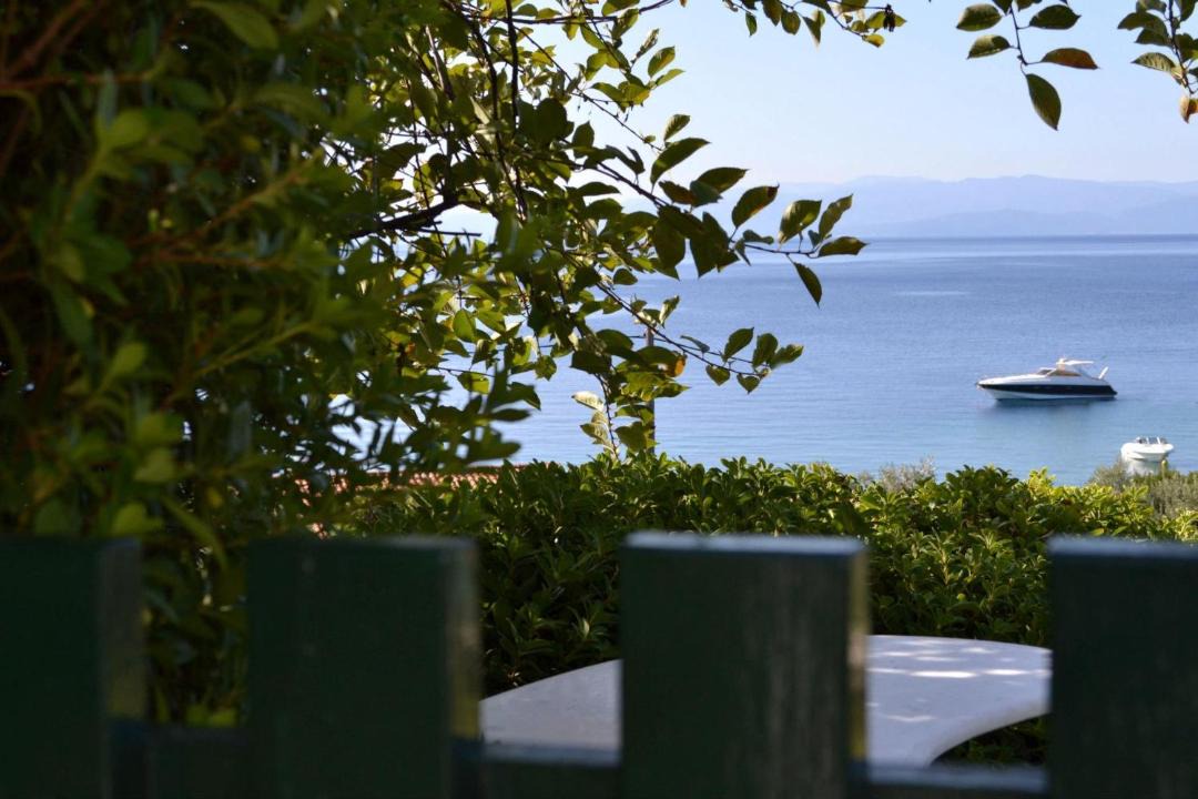 Photo of Others in Kolios