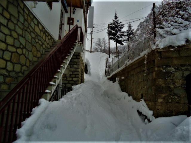 Photo of Others in Metsovo