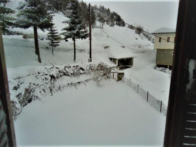 Photo of Others in Metsovo