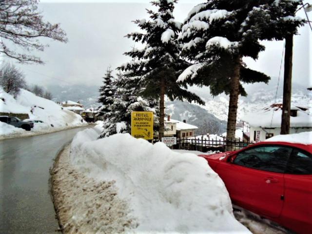 Photo of Others in Metsovo
