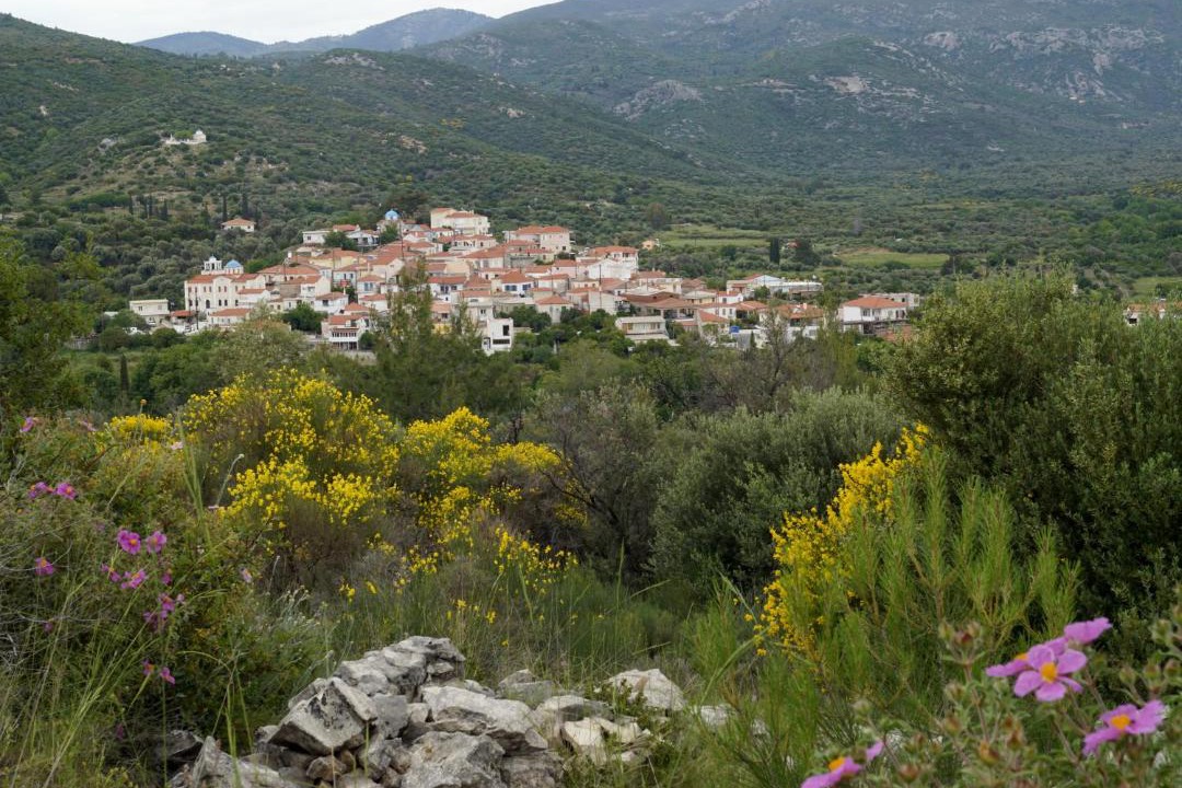 Photo of Others in Pythagorio