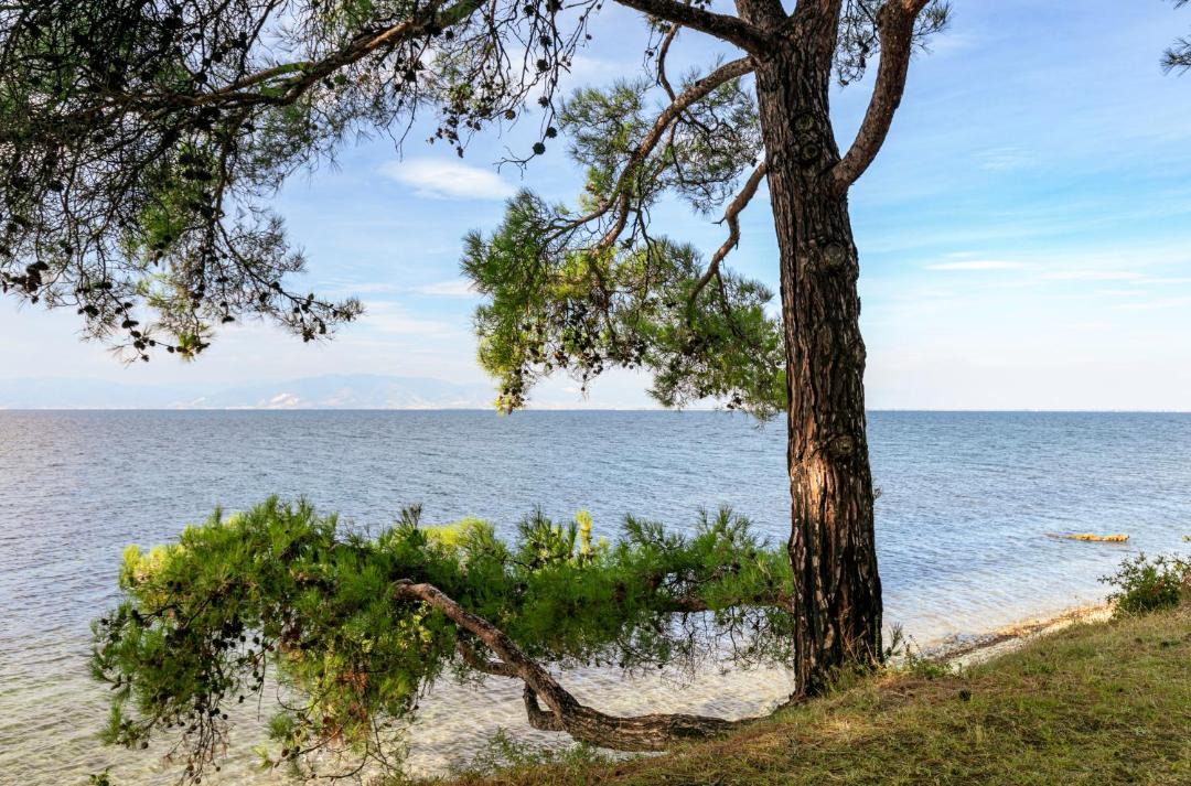 Photo of Others in Skala Rachoniou
