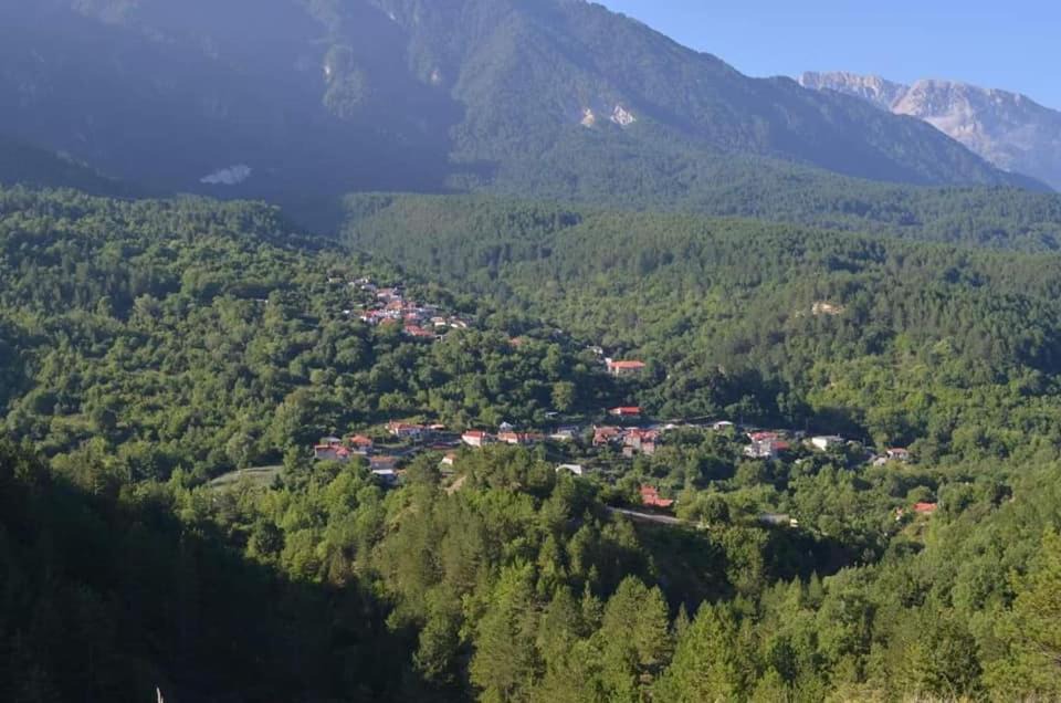 Photo of Others in Konitsa