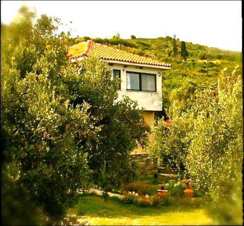 Photo of Others in Kato Vrontou