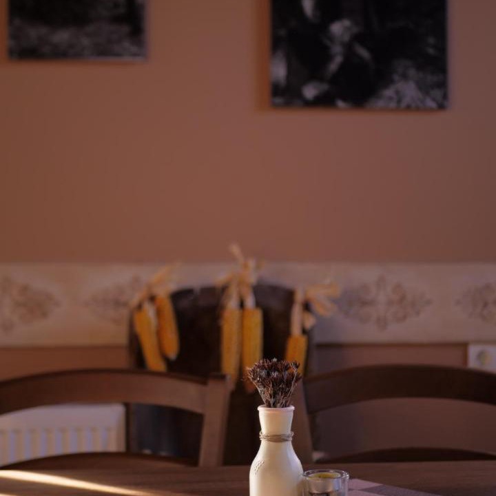 Photo of Kitchen in Konitsa