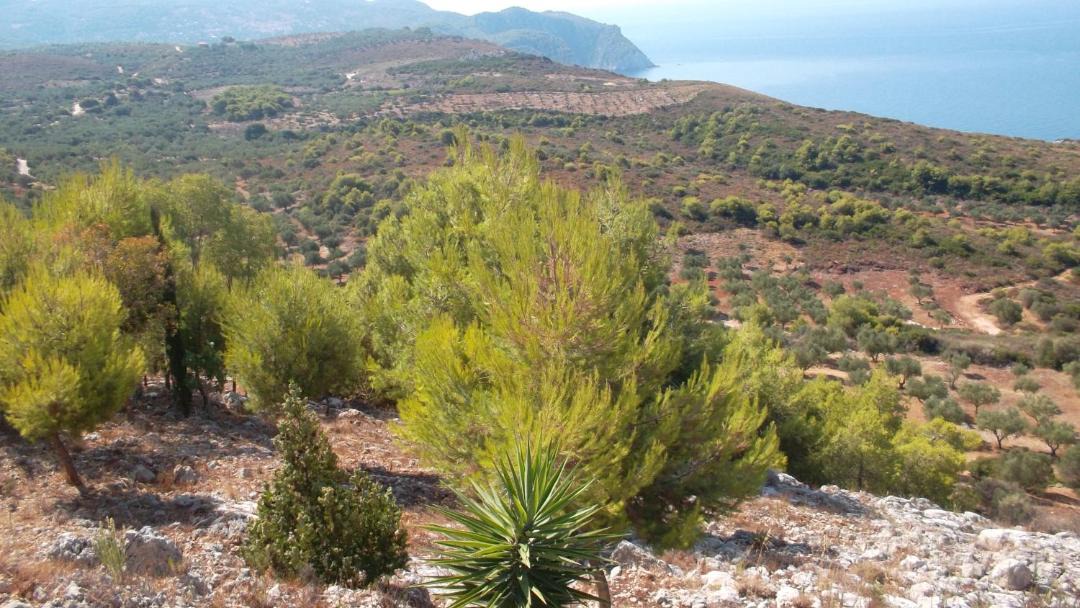 Photo of Outdoor in Agia Marina
