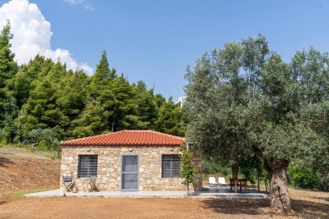 Photo of Others in Sithonia