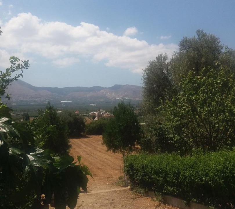Photo of Outdoor in Mires