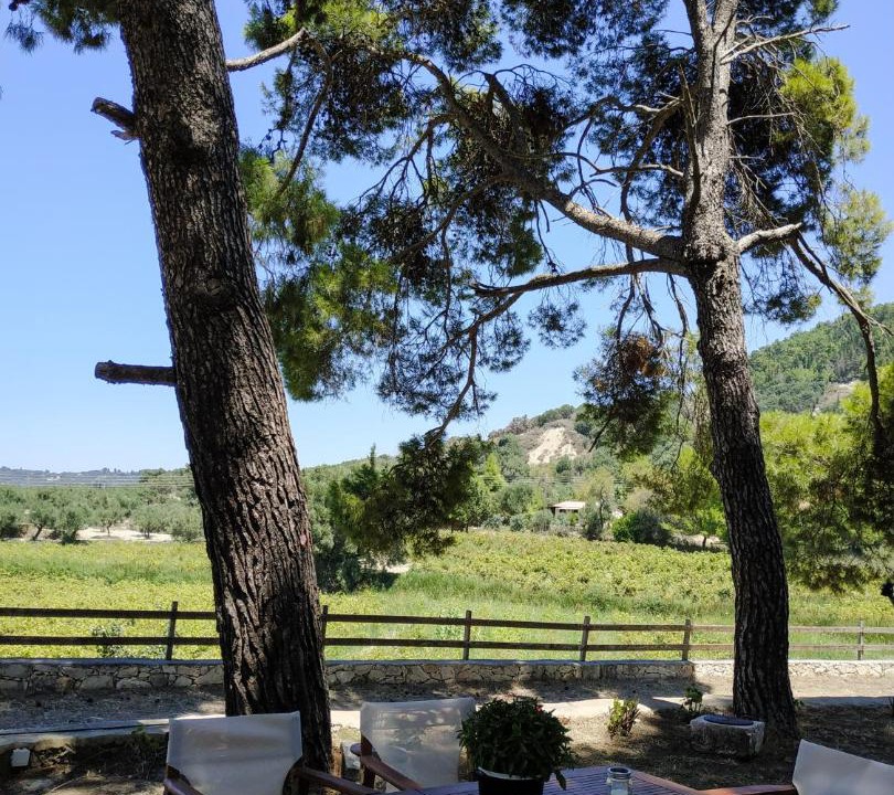 Photo of Others in Zakynthos Town
