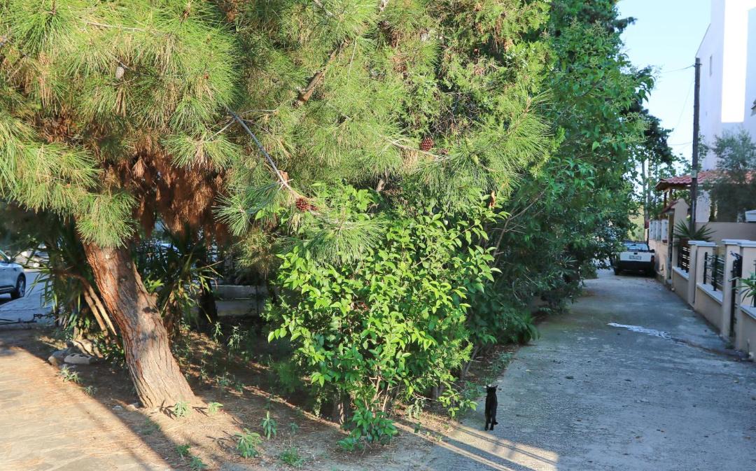 Photo of Others in Kavala