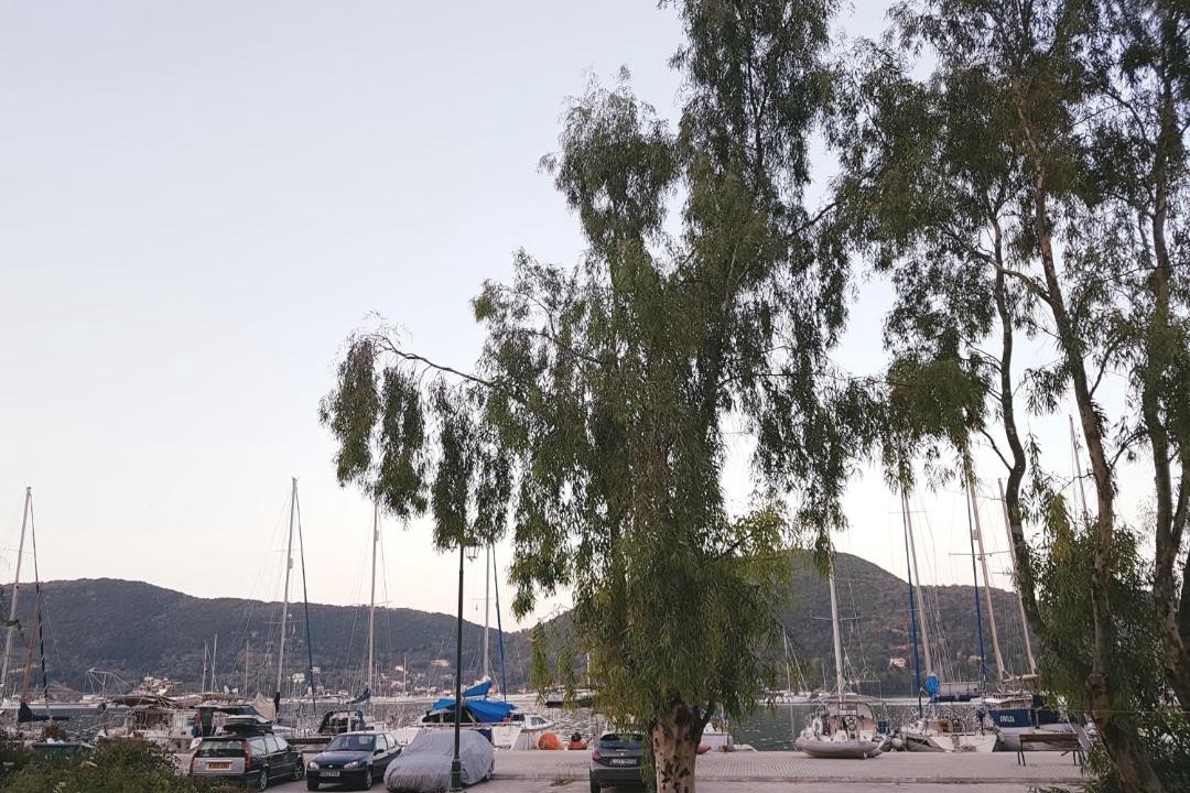 Photo of Others in Vlicho