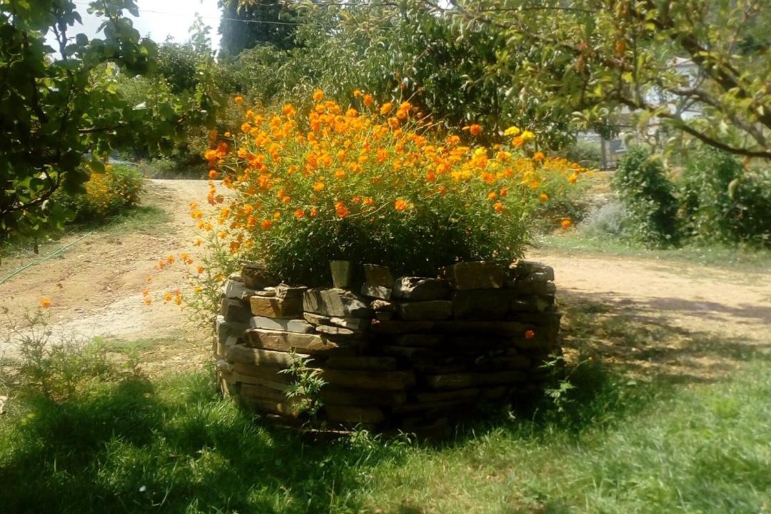 Photo of Others in Lambinou