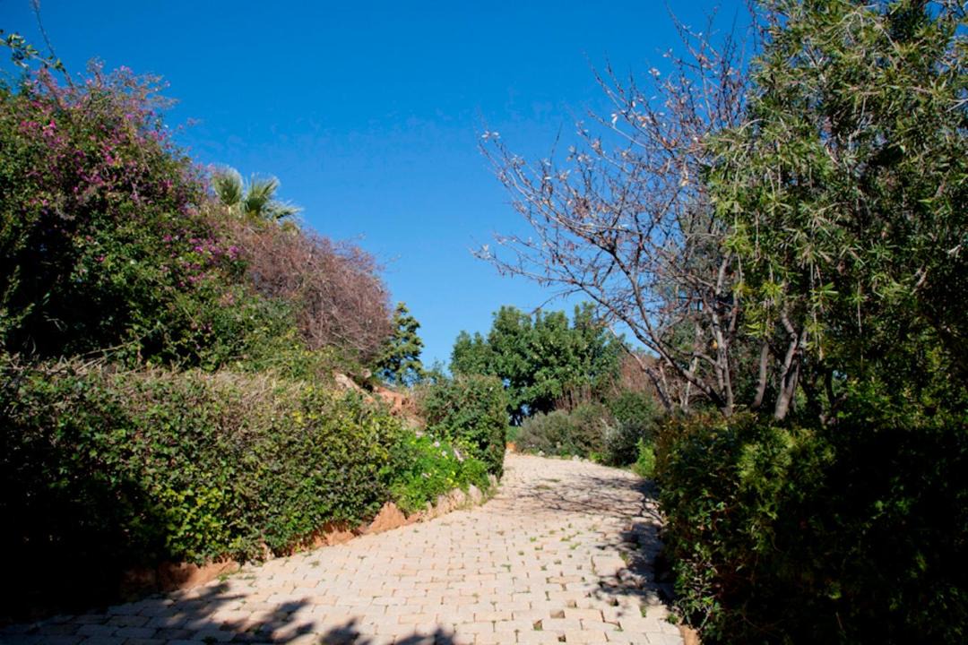 Photo of Outdoor in Kato Sounion
