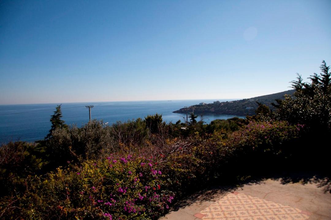 Photo of Outdoor in Kato Sounion