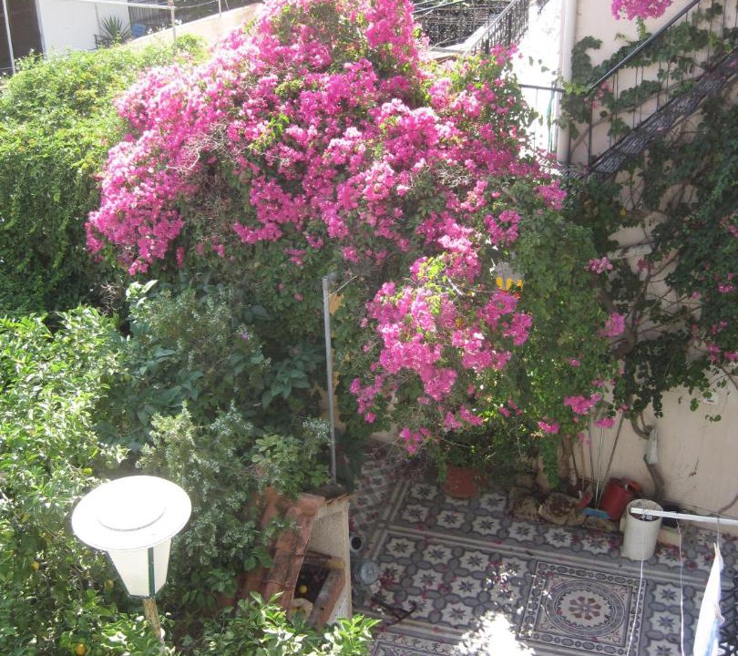 Photo of Others in Argostoli Town