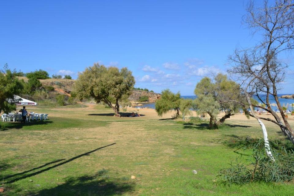 Photo of Others in Agii Apostoli
