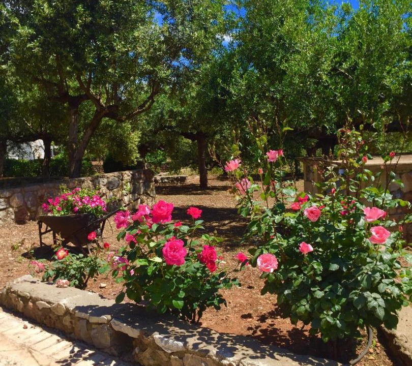 Photo of Others in Kardamyli