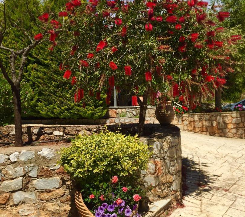 Photo of Others in Kardamyli