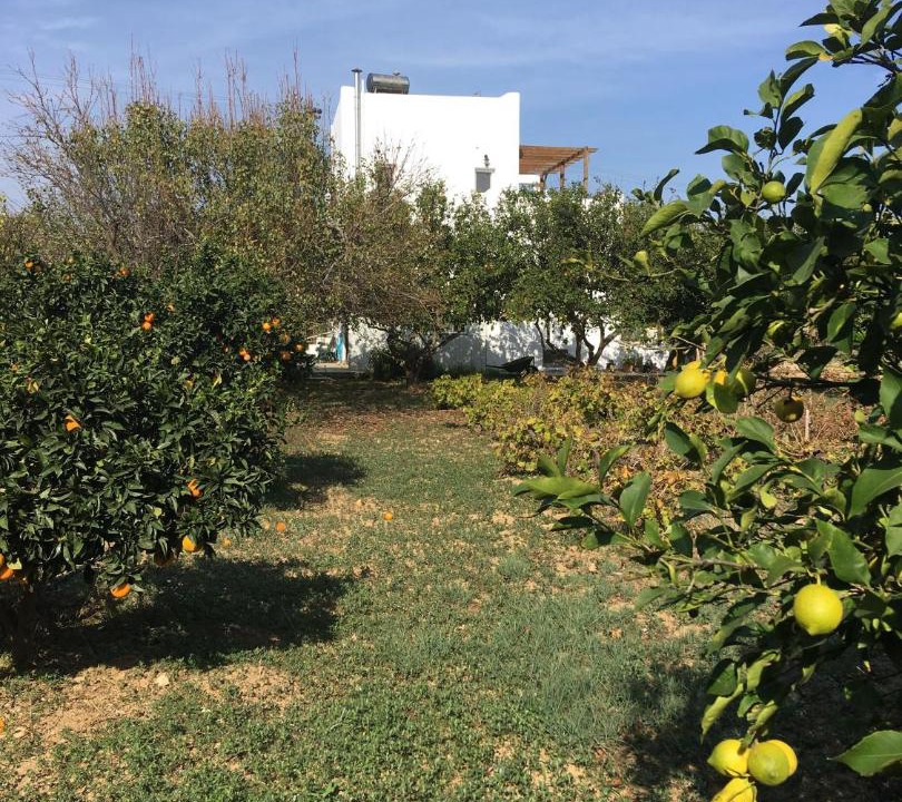 Photo of Outdoor in Piso Livadi